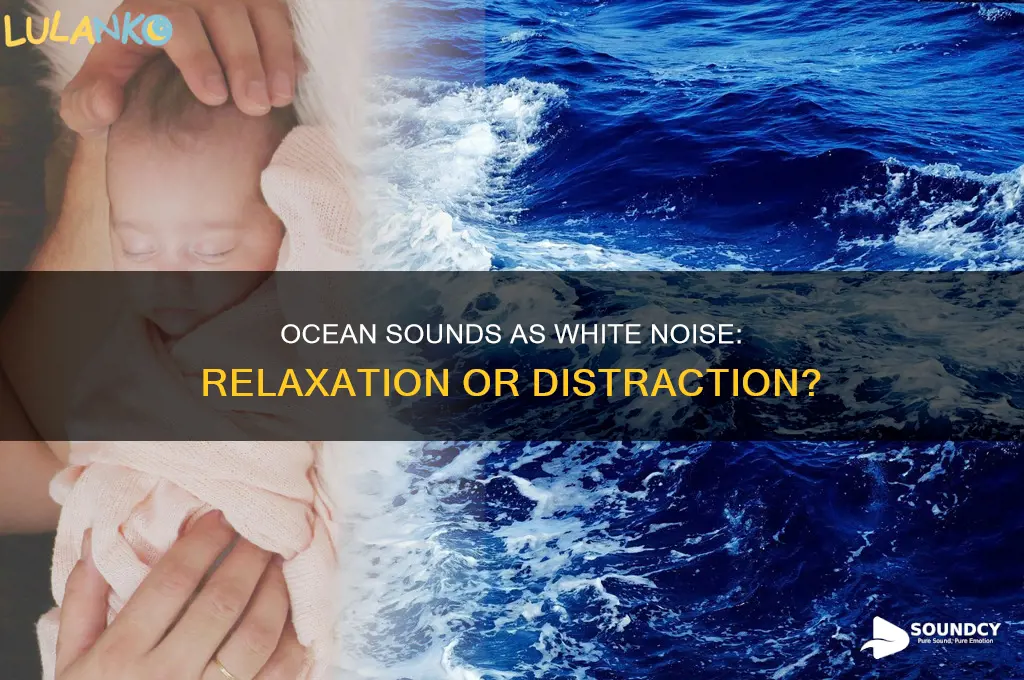 is ocean sound white noise