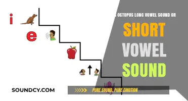 Exploring the Phonetics: Is 'Octopus' a Long or Short Vowel Sound?