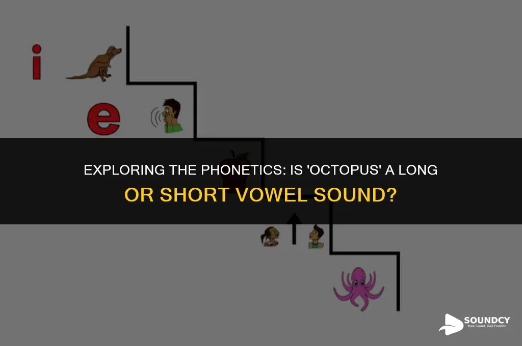is octopus long vowel sound or short vowel sound