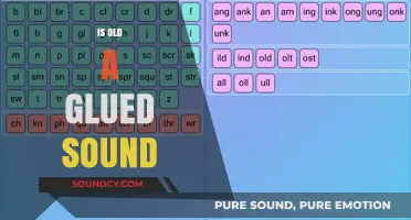 Is Old a Glued Sound? Exploring the Fusion of Age and Audio