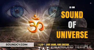 Is the Om Sound the Universe's Eternal Vibrational Frequency?