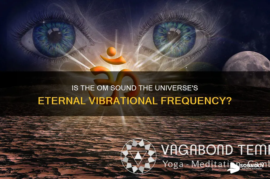 is om sound of universe