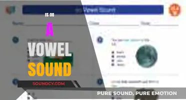 Is 'oo' a Vowel Sound? Exploring Phonetics and Pronunciation