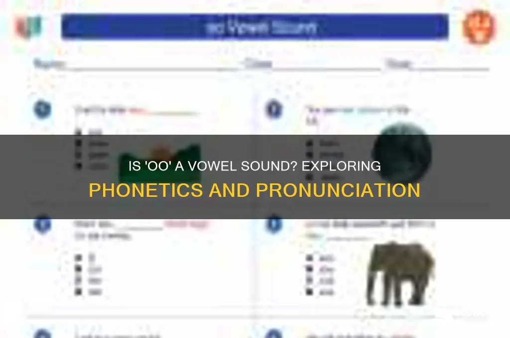 is oo a vowel sound