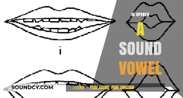 Is 'Opened' a Sound Vowel? Exploring Phonetics and Pronunciation