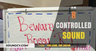 Mastering the Controlled Sound: Understanding the Difference Between 'Is' and 'R