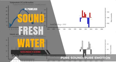 Is Pamlico Sound Fresh Water? Unraveling the Mystery of Its Salinity