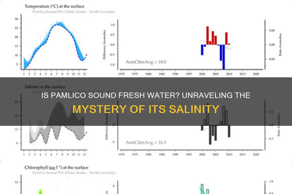 is pamlico sound fresh water