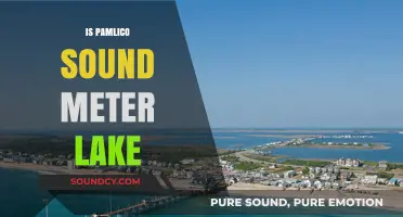 Pamlico Sound vs. Meter Lake: Unraveling the Coastal Confusion