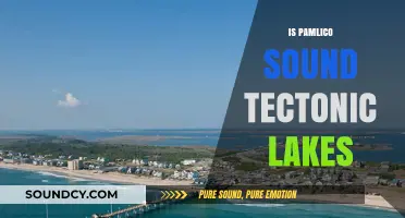 Pamlico Sound's Origins: Tectonic Lake Theory Explored and Debated