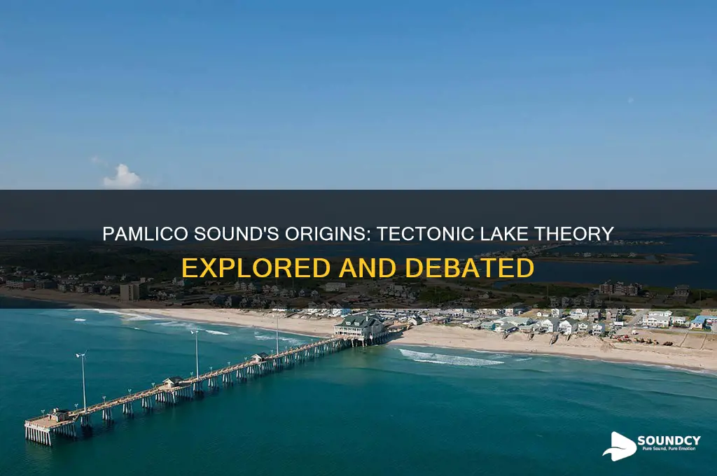 is pamlico sound tectonic lakes