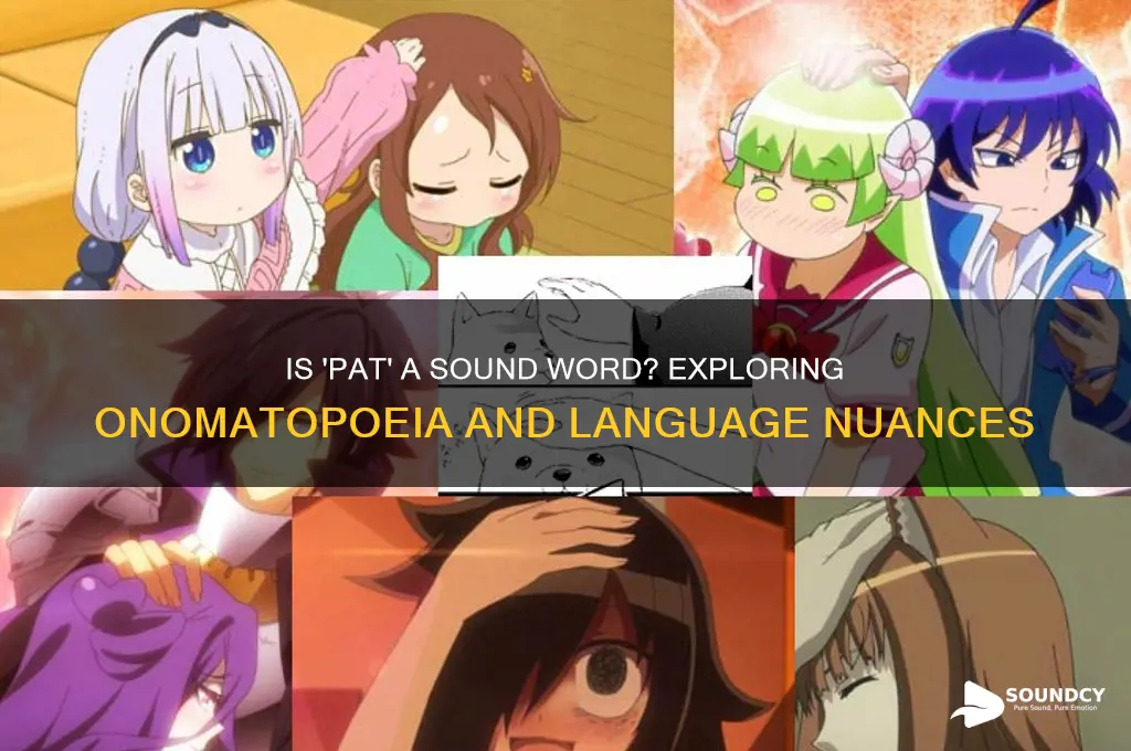 is pat a sound word