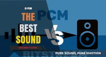 Is PCM the Best Sound Format for Audiophiles? A Deep Dive