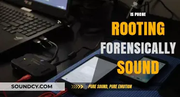 Is Phone Rooting Forensically Sound? Exploring Risks and Reliability
