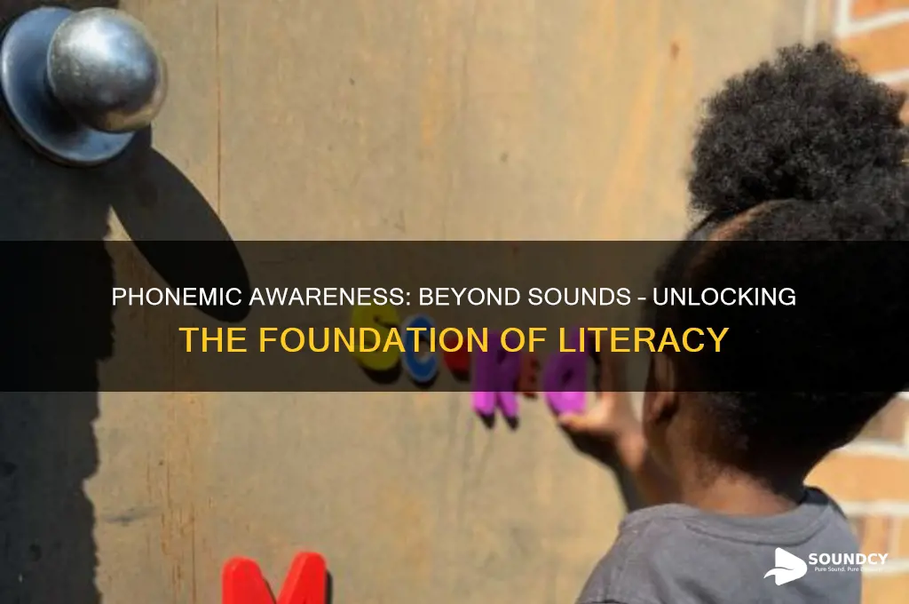 is phonemic awareness only sounds