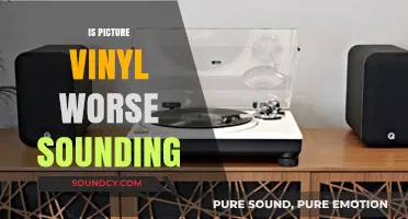 Picture Vinyl Sound Quality: Does Visual Appeal Compromise Audio Performance?