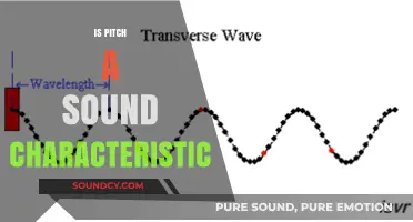 Is Pitch a Sound Characteristic? Unraveling the Science Behind Tone Perception