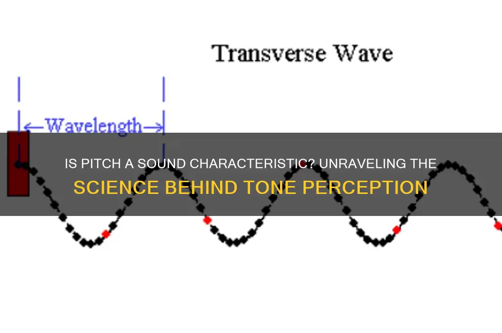 is pitch a sound characteristic