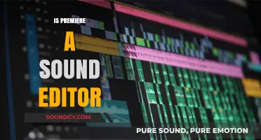 Is Premiere Pro a Reliable Sound Editor? Exploring Its Audio Capabilities