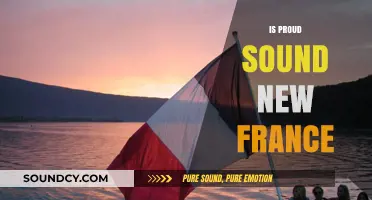 Is 'Proud' the New Sound of France? Exploring Cultural Shifts