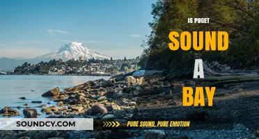 Is Puget Sound a Bay? Unraveling the Geographic Mystery