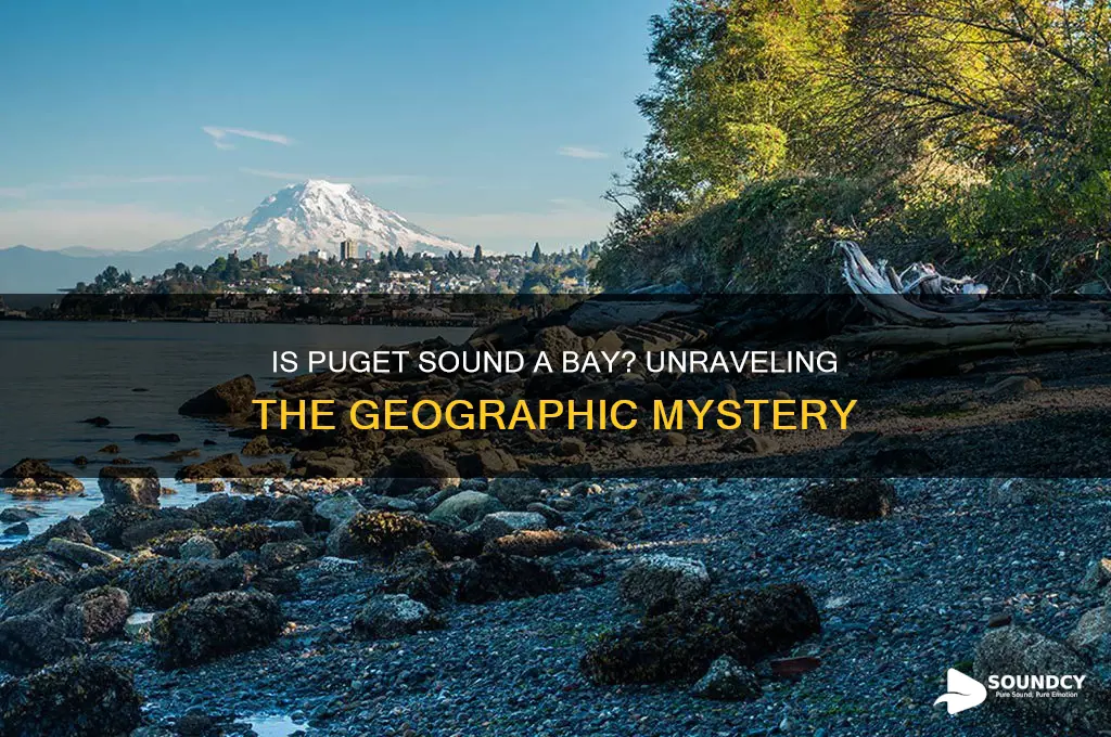 is puget sound a bay