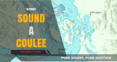 Is Puget Sound a Coulee? Unraveling the Geographic Mystery