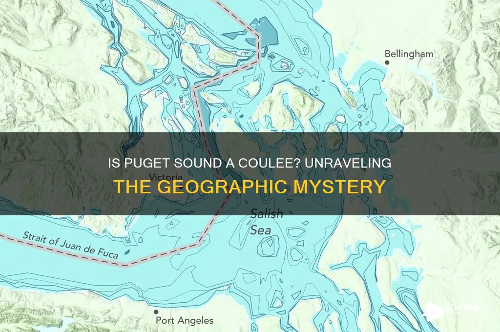 is puget sound a coulee