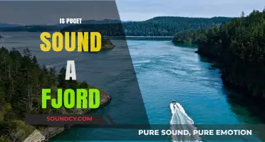 Is Puget Sound a Fjord? Unraveling the Geologic Mystery