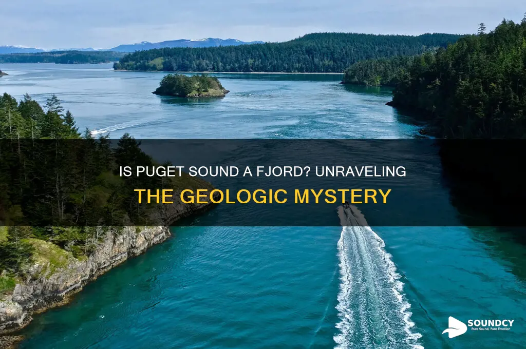 is puget sound a fjord