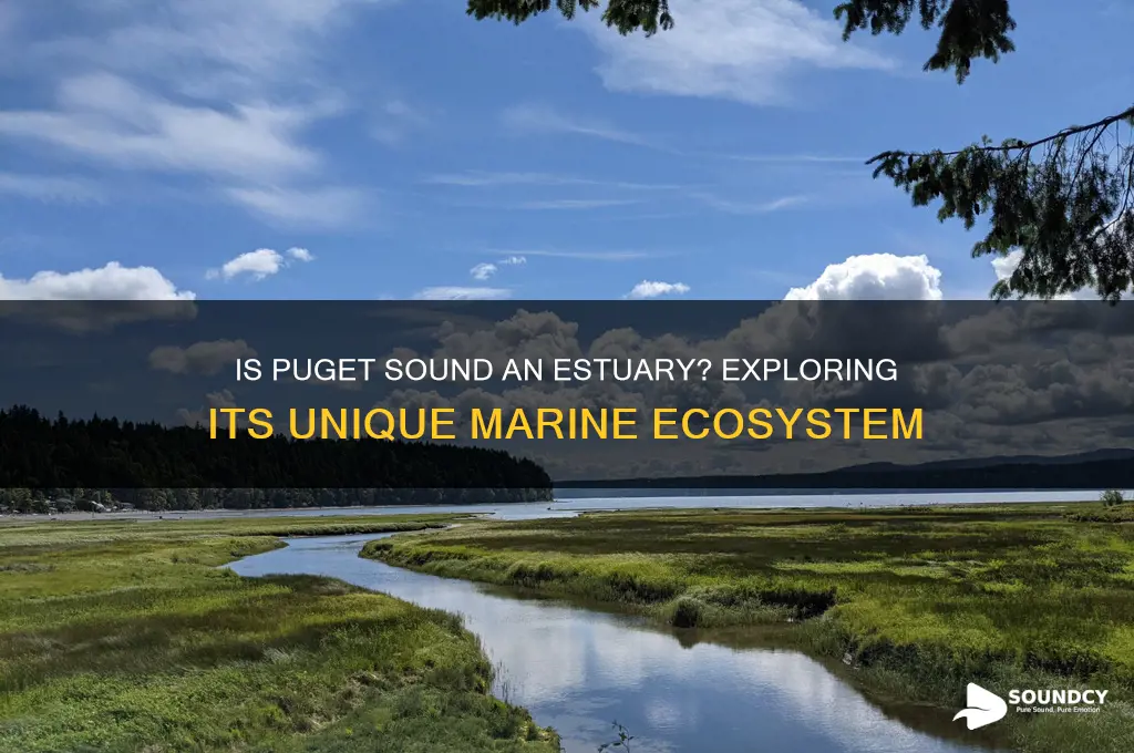 is puget sound an estuary