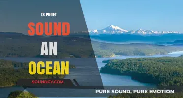 Is Puget Sound an Ocean? Unraveling the Mystery of Its Waters