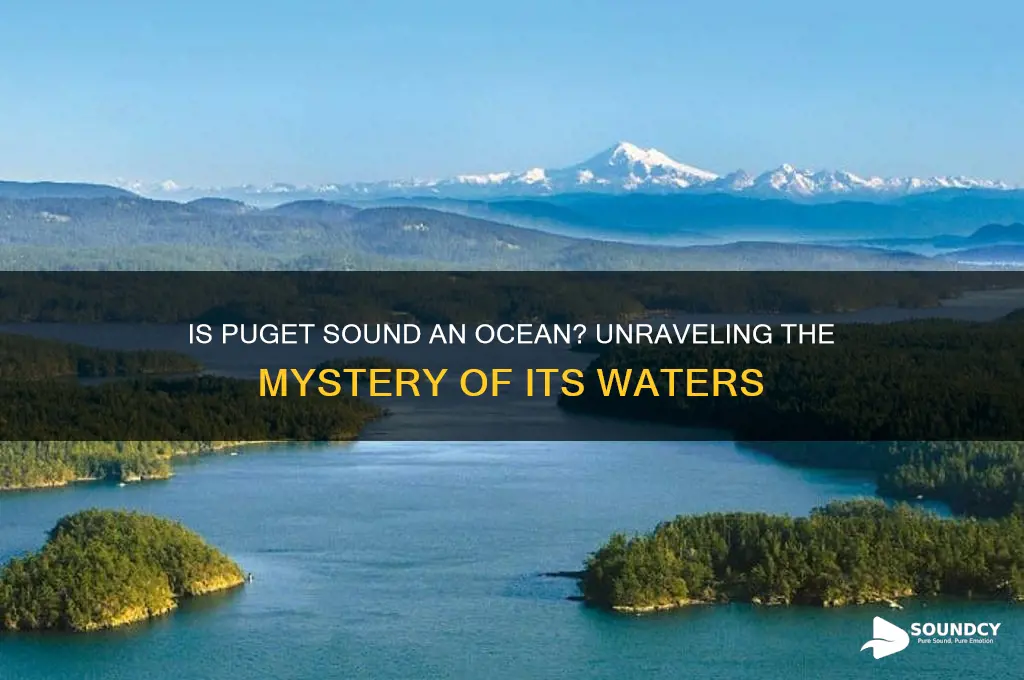 is puget sound an ocean