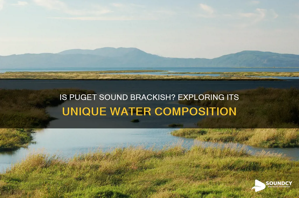 is puget sound brackish water