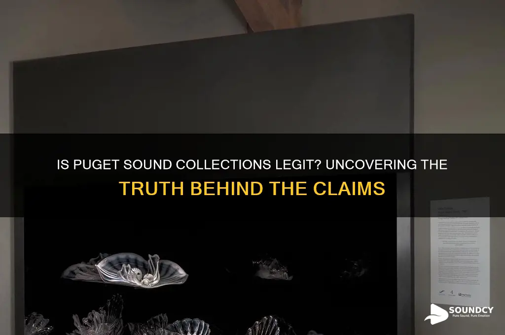 is puget sound collections legit