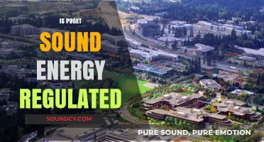 Is Puget Sound Energy Regulated? Understanding Utility Oversight in Washington