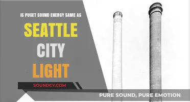 Exploring the Differences: Puget Sound Energy vs. Seattle City Light