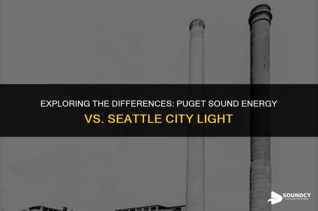 is puget sound energy same as seattle city light