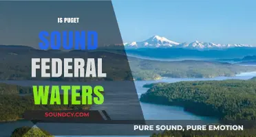 Is Puget Sound Federal Waters? Exploring Jurisdictional Boundaries and Implications