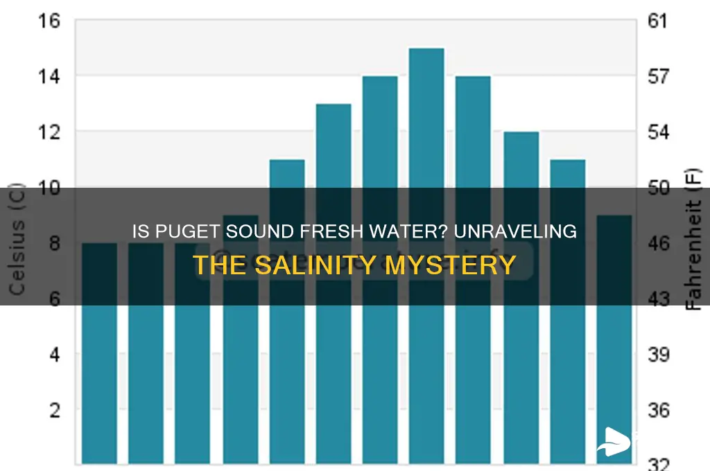 is puget sound fresh water