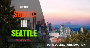 Is Puget Sound in Seattle? Exploring the Geography and Connection