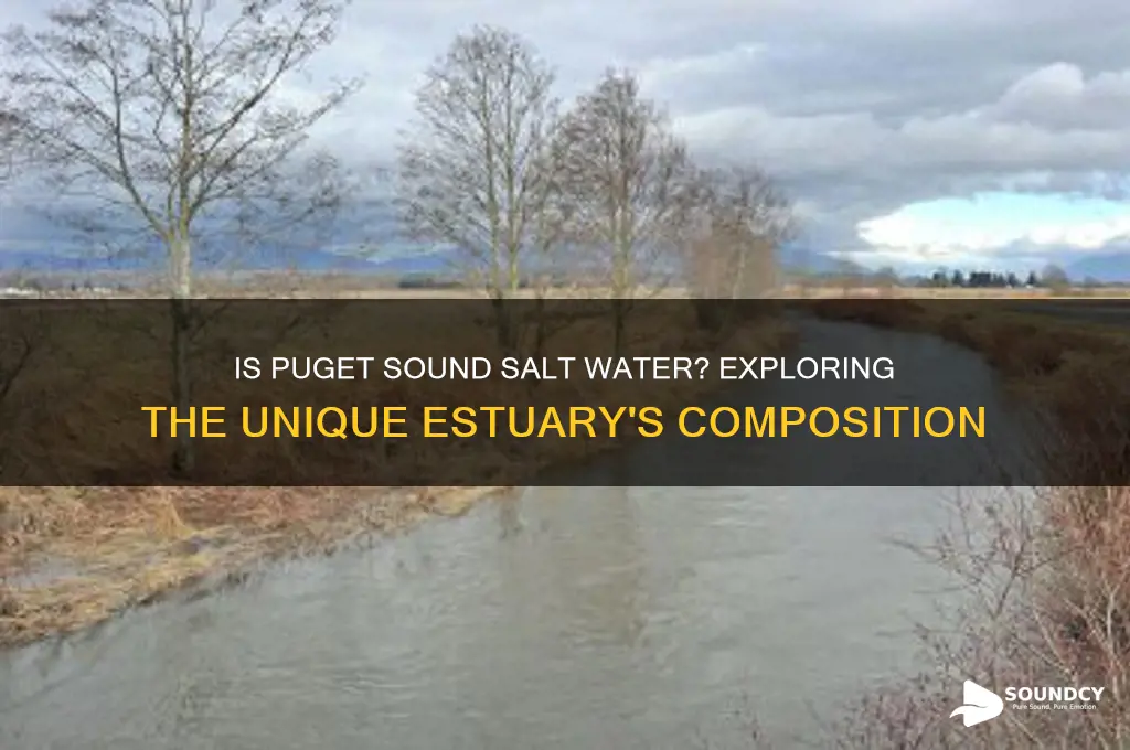 is puget sound salt water