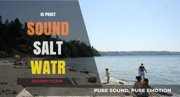 Is Puget Sound Saltwater? Exploring the Unique Marine Ecosystem