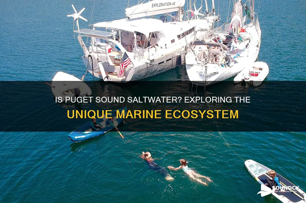 is puget sound salt watr