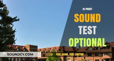 Is Puget Sound Test-Optional? Understanding the College's Admission Policy
