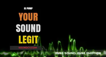 Is Pump Your Sound Legit? Unveiling the Truth Behind the Service