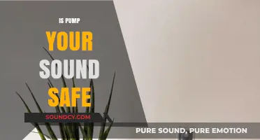 Is Pump Your Sound Safe? A Comprehensive Review and Analysis