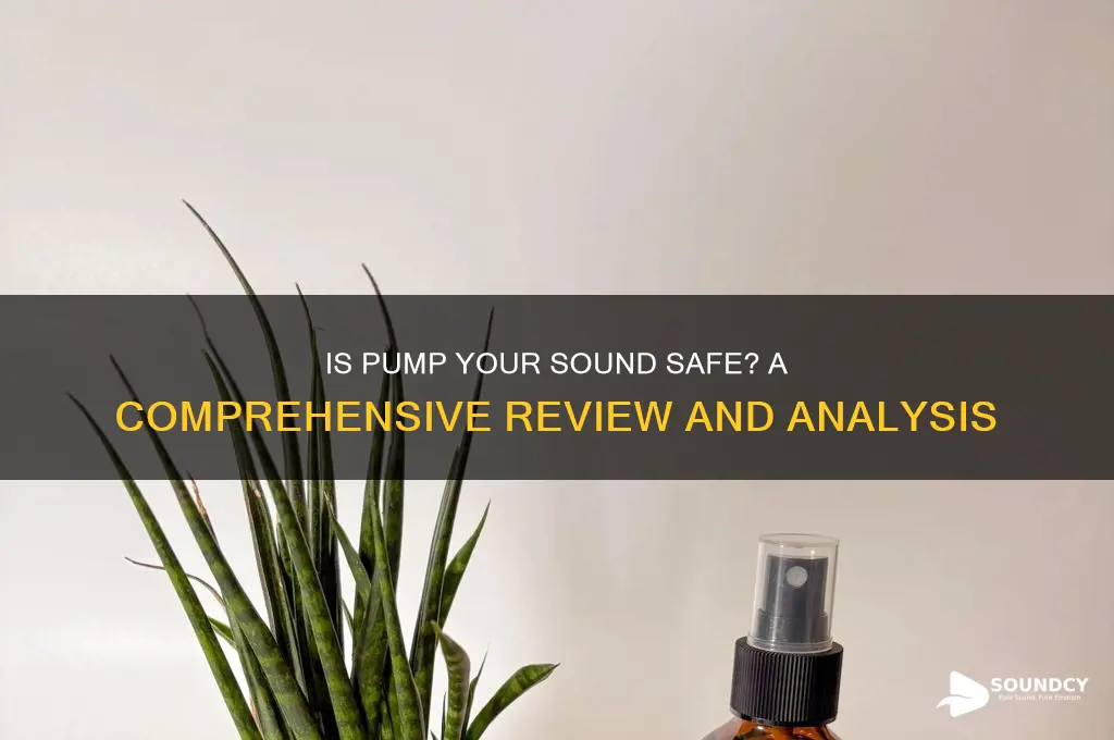 is pump your sound safe
