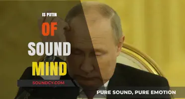 Is Putin of Sound Mind? Analyzing Russia's Leader's Mental State