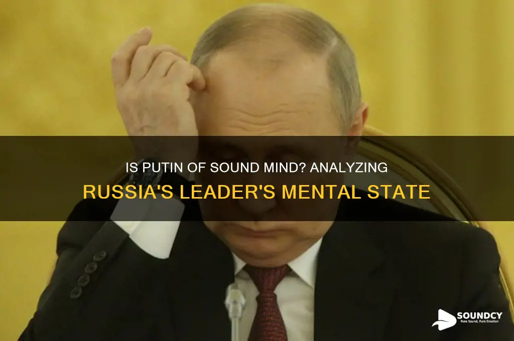 is putin of sound mind
